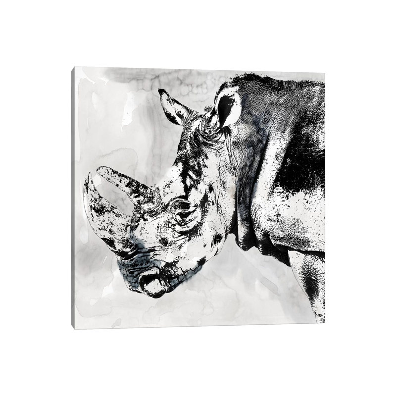 Rhino Wash by Carol Robinson - Print on Canvas, 93.98 cm H x 93.98 cm W x 1.91 cm D, Wrapped Canvas
