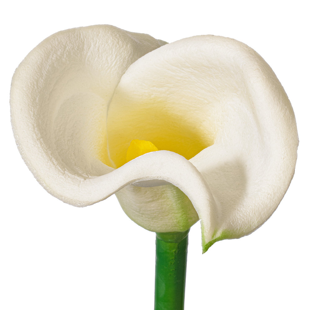 Cauldwell Calla Lily Stems, White, 26" H x 3" W x 3" D