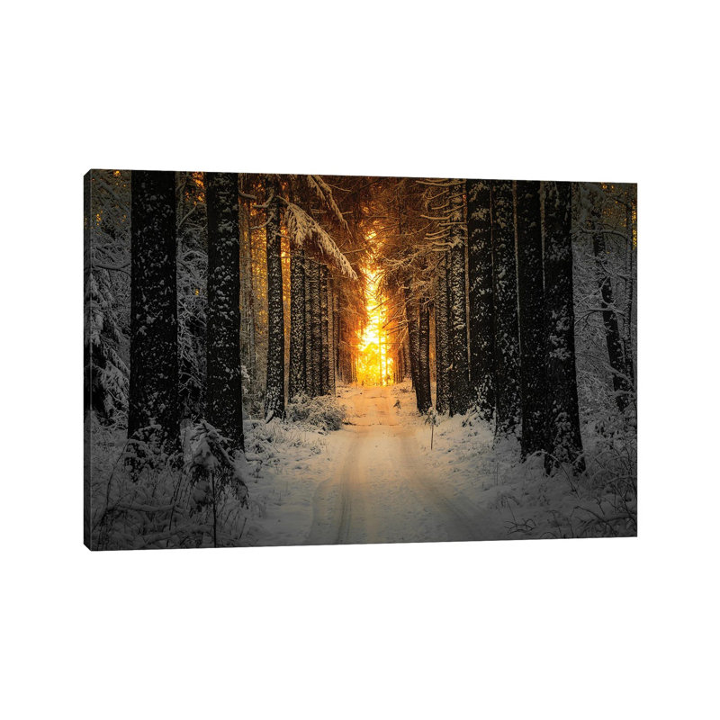Golden Winter Light by Lauri Lohi - Wrapped Canvas Print, 30.48 cm H x 45.72 cm W