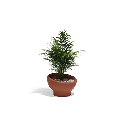 Luna Planter