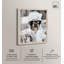 «Stay Glam Dog Shadowbox Print Pink Glam» par Art Remedy, cadre blond, 36 x 45-1011013425-1011013429