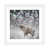 White Framed Paper is unavailable