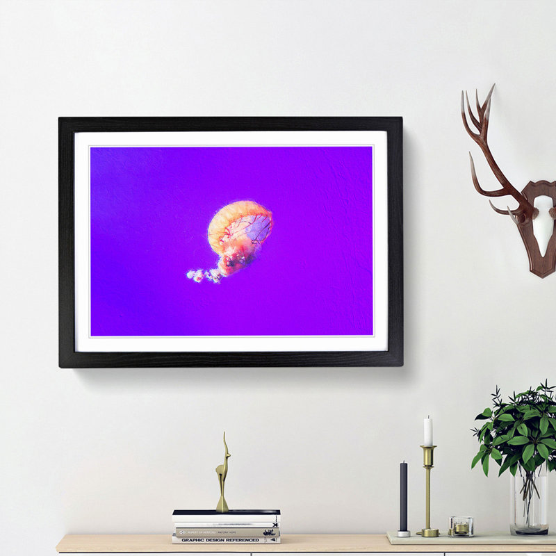 Jellyfish - Picture Frame Graphic Art Print, 48cm H x 65cm W x 2cm D, Black Framed