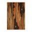 Tapis Barren Bloom-1503387551