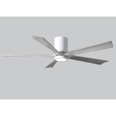 Irene Ceiling Fan with LED Light Kit