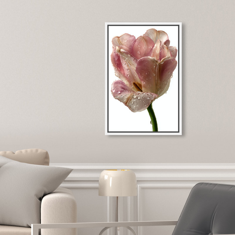 Droplet Tulip II Print by Oliver Gal, 11"H x 16"W, White Floater Frame