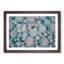 Succulent Plants - Picture Frame Painting Print-55613628-55613633