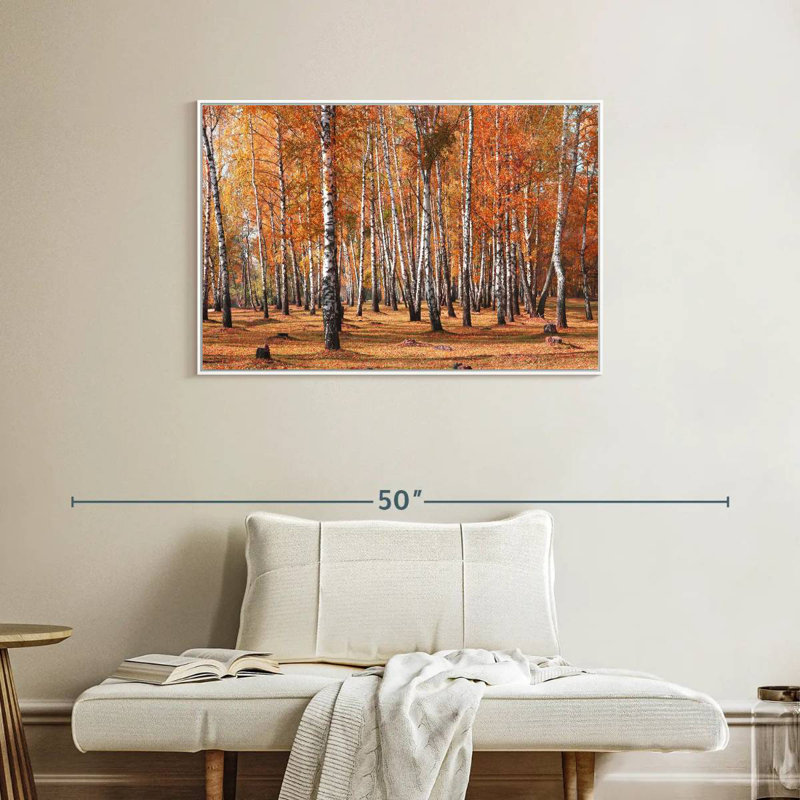 Forêt de bouleaux en automne, Cadre flottant blanc, 37 po x 25 po