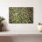 Evergreen Pine Trees-111980783