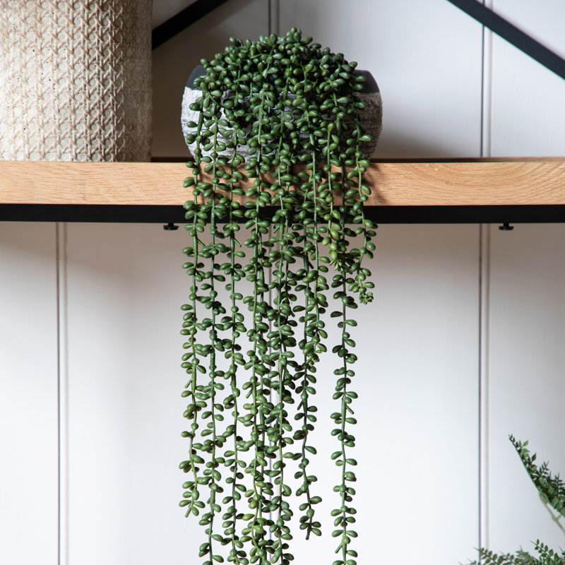 72cm Faux Evergreen Succulent