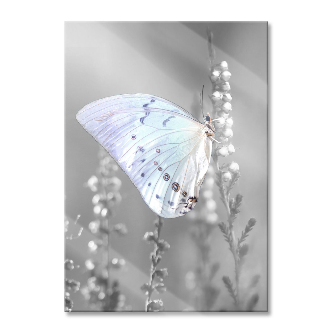 Ungerahmtes Foto auf Glas "Butterfly on Flower Buds"