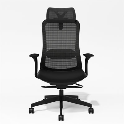 Ergonomic Mesh Task Chair, Adjustable Office Chair with 2D Headrest & 3D Armrest, Office Desk Chair with Lumbar Support, Recline Function