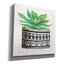 «Cactus Mud Fabric Vase IV» par Cindy Jacobs, art mural sur toile-1879416041