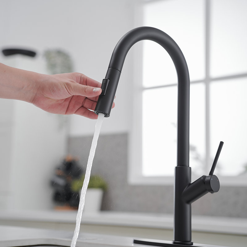VIBRANTBATH Pull Out Kitchen Faucet, Matte Black