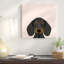 Teckel i, impression sur toile tendue-74753036-74753035-74753034