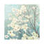 Dogwood Blossoms I by Dogwood Blossoms I - Wrapped Canvas Painting-707398680