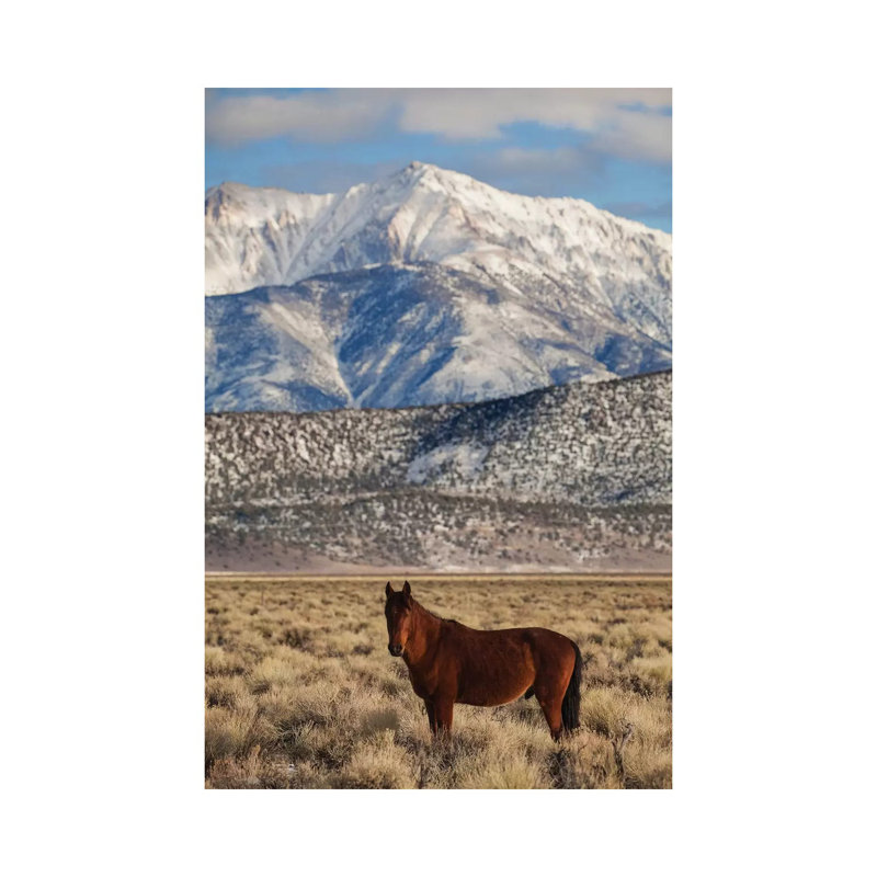 Usa, California. White Mountains And Wild Mustang In Adobe Valley. 1 Piece Wrapped Canvas Wall Art, 66.04 cm H x 45.72 cm W