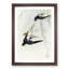 Swallows in Flight by Ohara Koson - Picture Frame Art Print-55616871-55616873