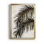 Palm II - peinture sur toile encadrée-39344810-39344813