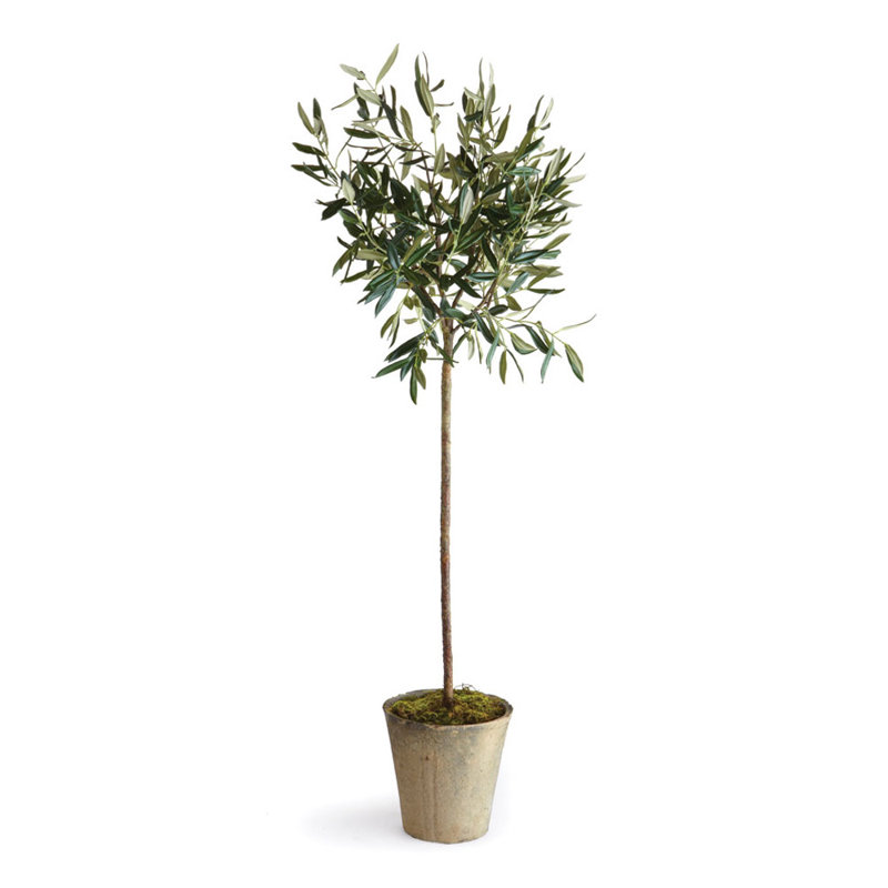 Conservatory Faux Olive Tree Tree in Ceramic Pot, 46" H x 7.75" W x 7.75" D