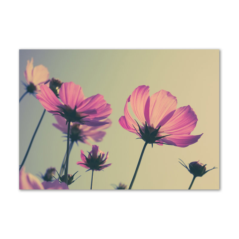 Pink Flowers - Wrapped Canvas Print