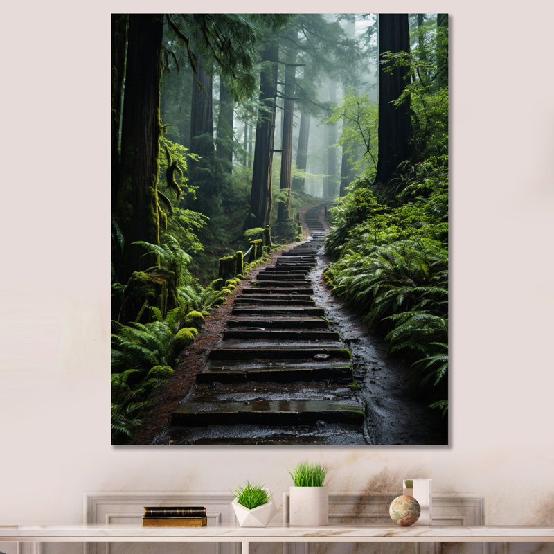 «USA Muir Woods National Monument I», reproduction d'art sur toile, H 32 po x l 16 po x P 1 po, Toile tendue