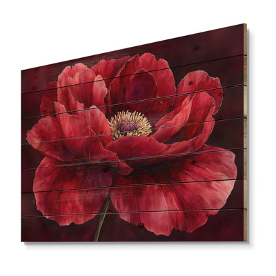 Velours bourgogne pivoine douce symphonie II - pivoines en bois, décoration murale - sur bois de pin naturel