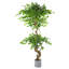 Faux Tree Plant in Plastic Pot Liner-138492391-138492394