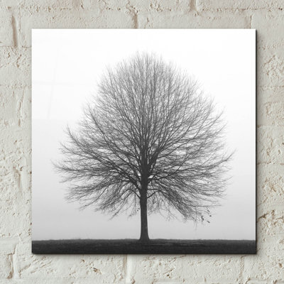 «Winter Trio I» par Nicholas Bell, photographie