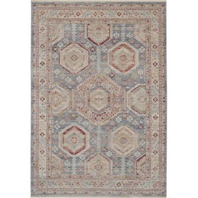 Silvian Oriental Indoor Rug