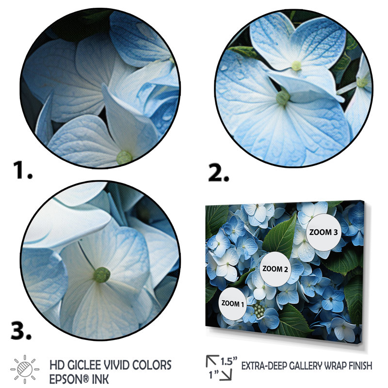 «Blue Hydrangea Field», vue aérienne sur toile, Cadre flottant blanc, H 12 po x l 20 po x P 1 po