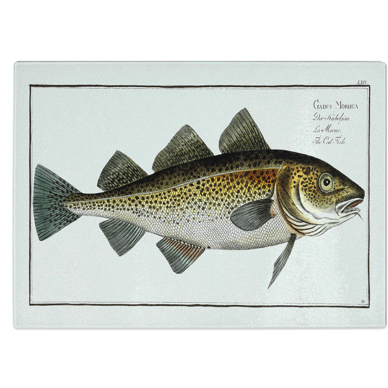 Tempered Glass Cod Fish Chopping Board, 39 cm W x 28.5 cm L