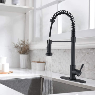 MAXWELL Pull Down Kitchen Faucet