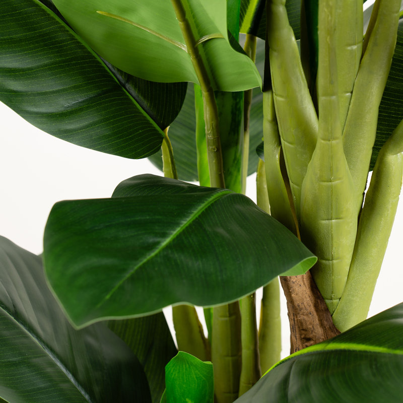 120cm Faux Real Touch Dieffenbachia