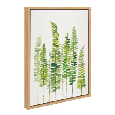 «Sword Ferns» par Patricia Shaw, reproduction d'art sur toile encadrée