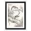 Japanese Willow Tit Birds by Numata Kashu - Framed Print-55767601-55767602