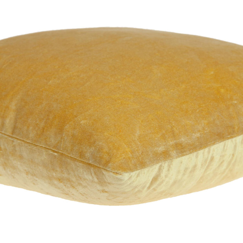 Coussin Parkbury, Polyester / Bourre en polyester, Jaune, 22 po x 22 po