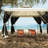 Spacious Outdoor Gazebo Clearance with Outside Mosquito Netting for Garden, with Sturdy and Durable Construction, Beige