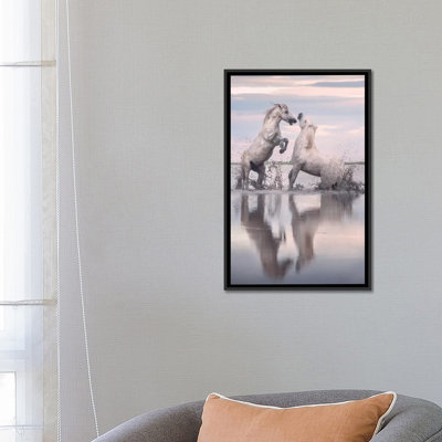 « white anges of camargue xxxiii », reproduction de photo sur toile