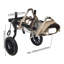 Fauteuil roulant pour chien