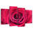 Harnek Dewy Red Rose Petals