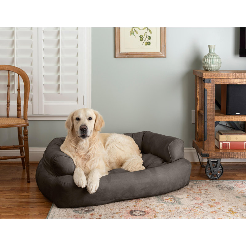 Canapé pour chien de luxe avec traversin en microsuède ultrarembourré Snoozer, Petit (l 20 po x P 30 po x H 8 po), Anthracite