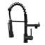 Robinet de cuisine à poignée simple pull down-45856191