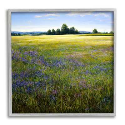 Bb-199-Framed " Vast Meadow Landscape " by Denise Dundon