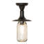 1 - Light Flush Mount