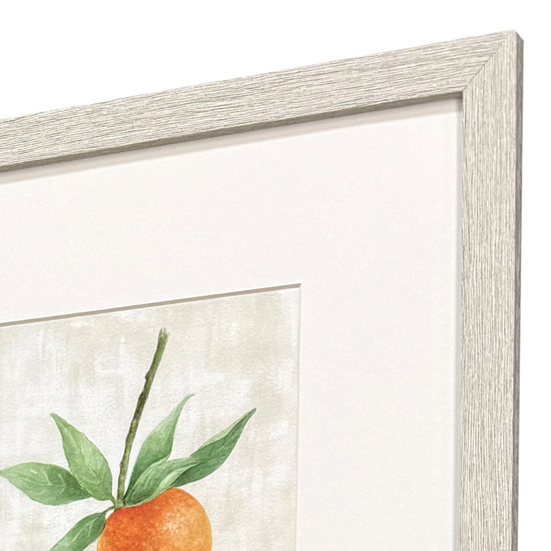 Fruit in Detail Framed Art
