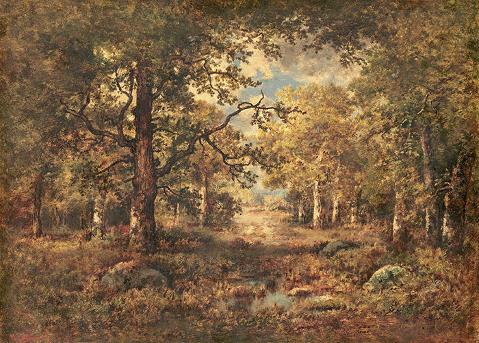 Duncraig 2.5m x 2.5m Matte Mural, 250 x 104cm