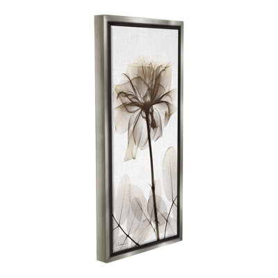 «Blooming Opaque Flower Floater Frame» par Albert Koetsier sur