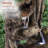 Jaason Outdoor Weather Resistant Floor Fountain with Light-97804500