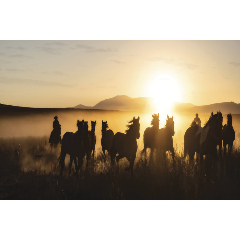 Ranch Horse Jingle by PHBurchett - Wrapped Canvas Photograph, 30 cm H x 46 cm W